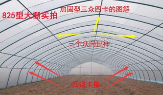 鋼管大棚支架 選對生產廠家與材質的重要性